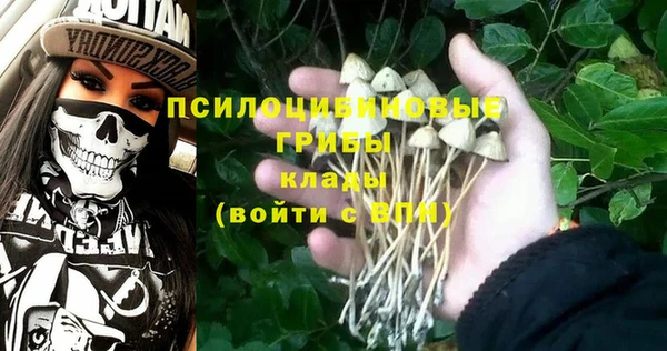 стафф Абаза