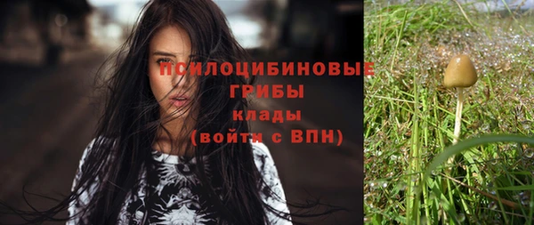 стафф Абаза