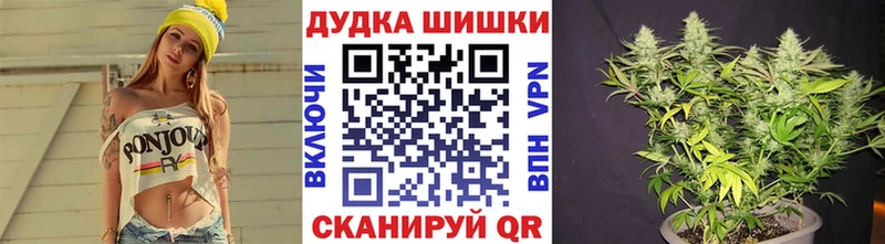 где найти   Пугачёв  Шишки марихуана THC 21% 